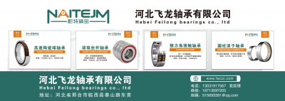 河北飞龙轴承有限公司